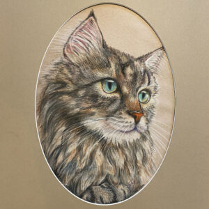 Pastel, Gift, Card, Cat