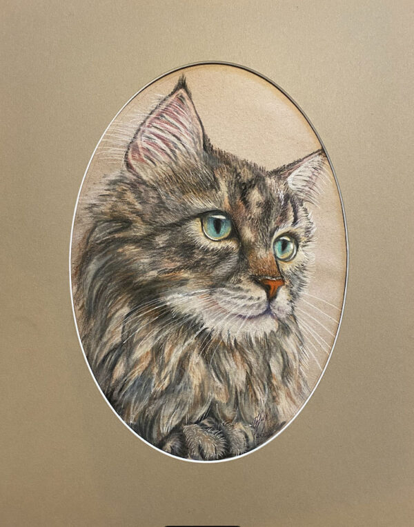 Pastel, Gift, Card, Cat