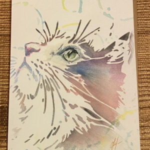 Purr-suade with colour